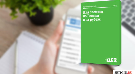 описание тарифа зеленый на фоне телефона в руке и цветка в горшке