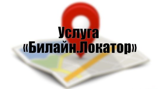 Услуга «Билайн.Локатор»