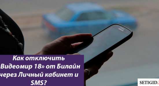 Как отключить Видеомир 18
