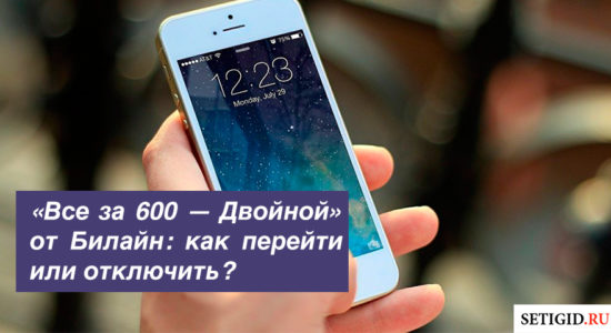 Описание тарифа «Все за 600 — Двойной» от Билайн