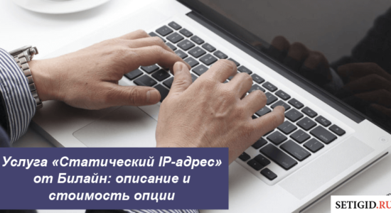 Услуга «Статический IP-адрес» от Билайн