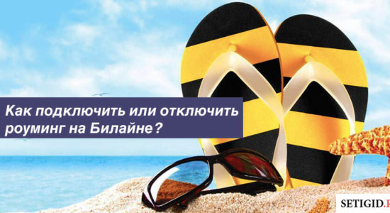 Как подключить или отключить роуминг на Билайне?