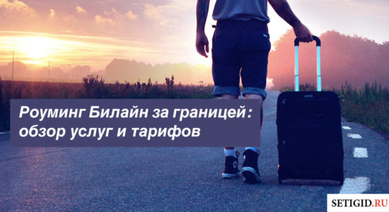 Роуминг Билайн за границей: обзор услуг и тарифов