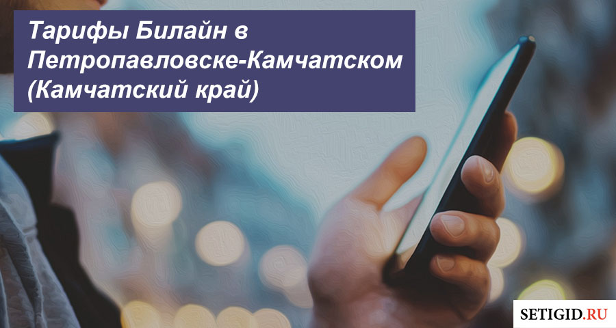 Интернет Магазин Билайн Петропавловск Камчатский