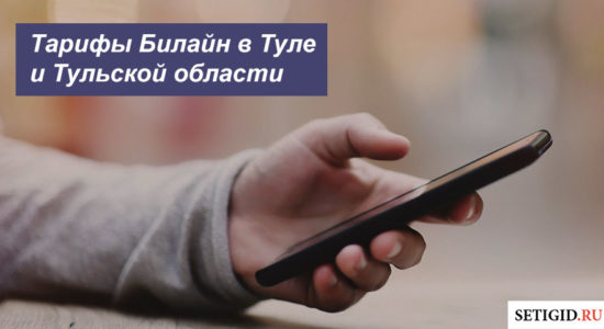 Описание выгодных тарифов Beeline в Туле и Тульской области для мобильного телефона, планшета и ноутбука